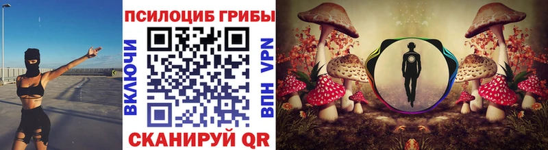 Псилоцибиновые грибы ЛСД  Купить закладки  Азнакаево 